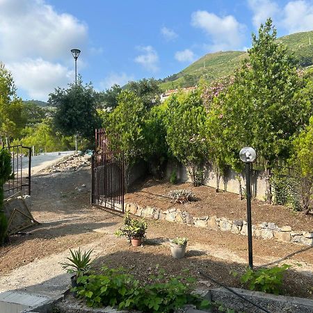 Villa Loren Praia a Mare Luaran gambar