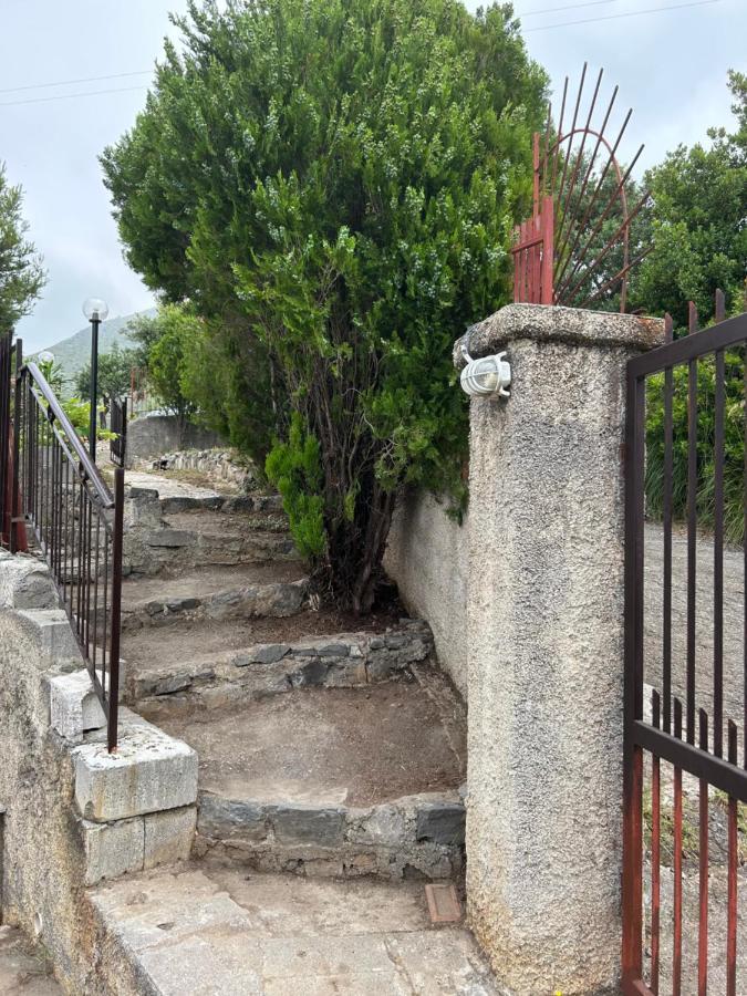 Villa Loren Praia a Mare Luaran gambar