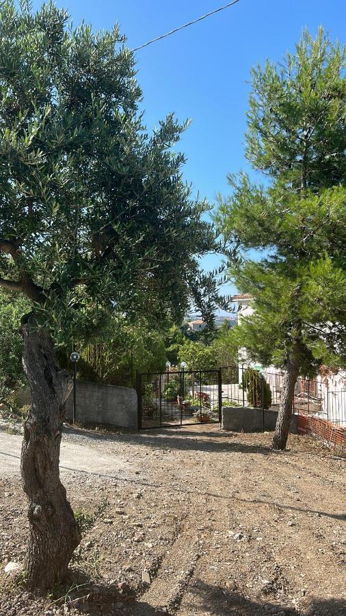 Villa Loren Praia a Mare Luaran gambar